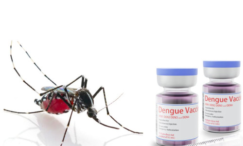 Vacina contra dengue: um guia completo sobre a Qdenga®