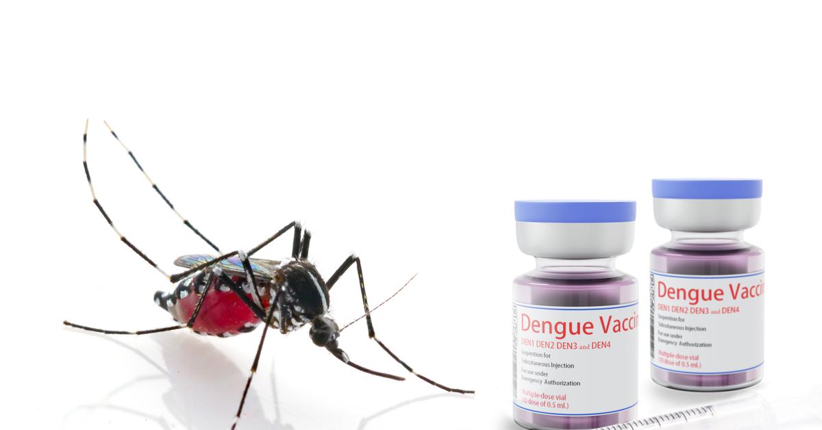Vacina contra dengue: um guia completo sobre a Qdenga® | Diagnósticos do Brasil